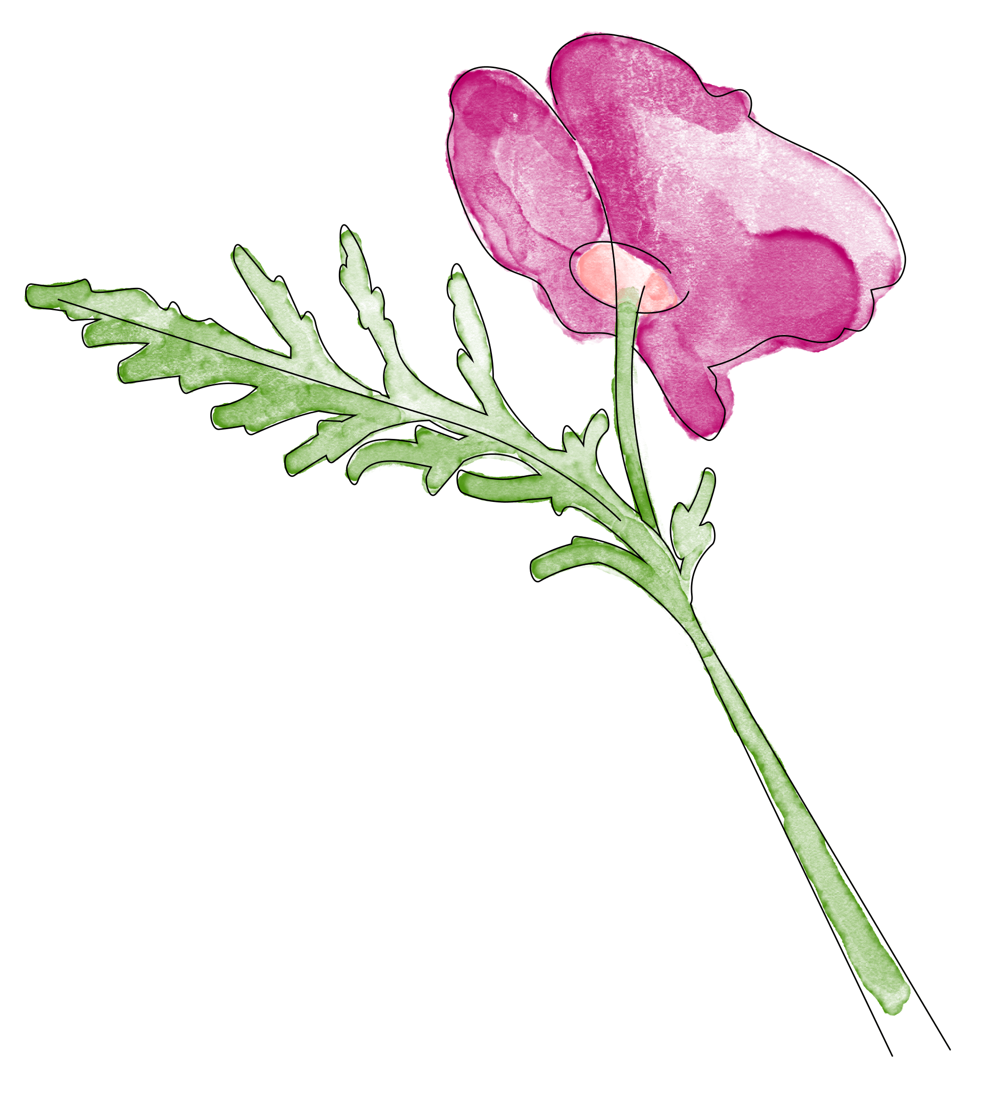 Flower image