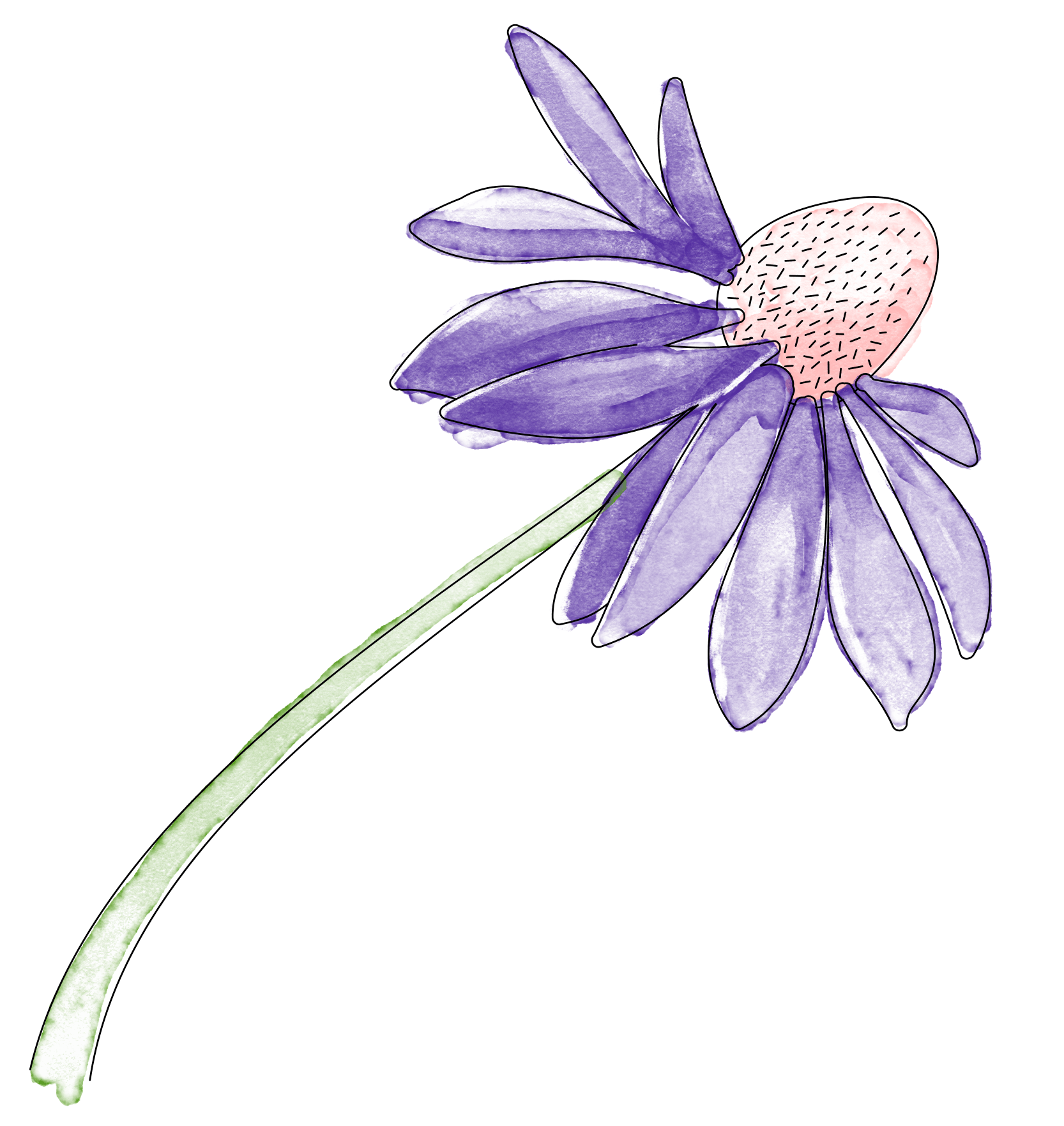 Flower image